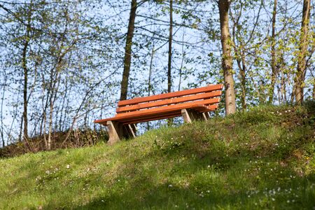 Park bench in summer for wandering people to have a break with beautiful natural viewの写真素材