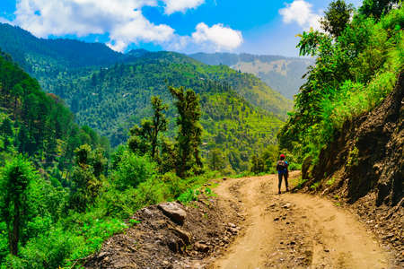 Trekkers  with backpack traversing through tropical evergreen forest trail in Himalayas mountains...