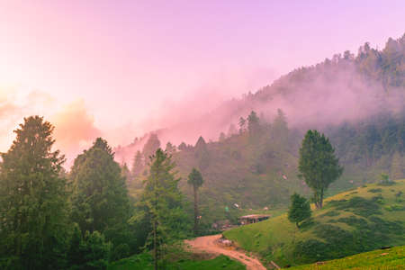 Silhouette of forested himalayas mountain slope with the evergreen conifers shrouded in misty...