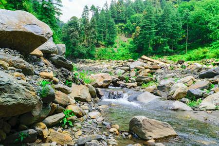 View enroute to Prashar Lake trekk trail through small waterfall rivulet. It is located at a height...