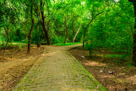 View at Deer Park Forest during rainy monsoon season in South Delhi, India