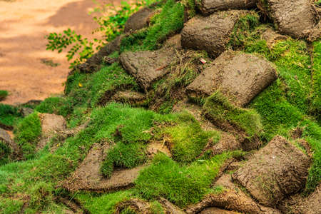 Pile of green grass turf Rolls  for district park at Delhi, India.の写真素材
