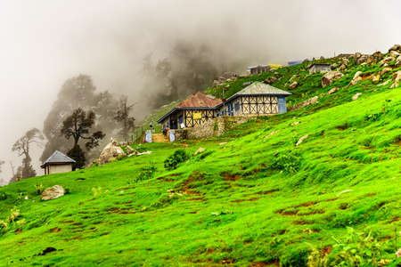Alpine meadows of Triund hill ridge shrouded in mist in a scenic landscape during monsoon season at Mcleod Ganj, Himachal Pradesh, India.のeditorial素材