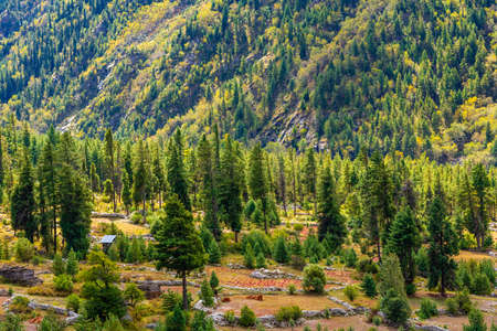 View of Chitkul, which is a popular tourist camping destination among backpacker and nature lovers...