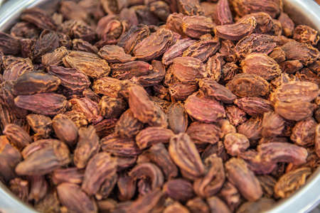 Heaps of large black Cardamom seeds, perennial herbaceous plant in the family Zingiberaceae. It has has a smoky and vaguely camphor like flavour used for the purpose of adding flavour to foods.の写真素材