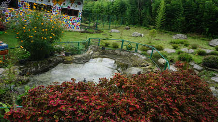Garden pond with greeneryの写真素材