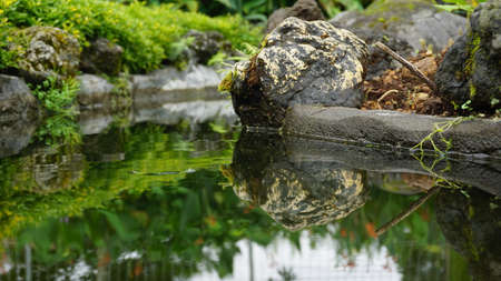River in a beautiful parkの写真素材