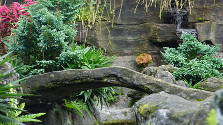 ridge park with beautiful waterfallsの写真素材