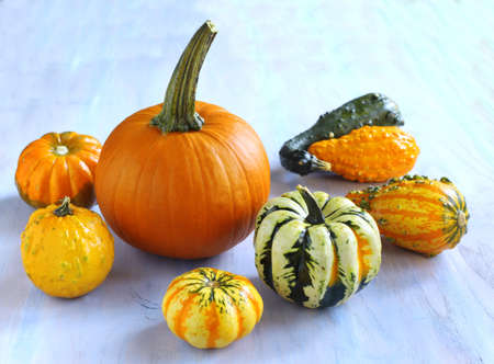 Autumn pumpkins on wooden table の写真素材
