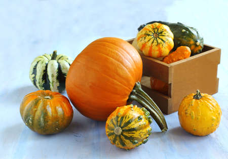 Autumn pumpkins on wooden table の写真素材