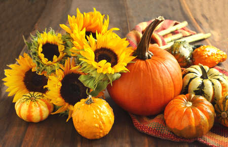 Autumn pumpkins and sunflowers の写真素材