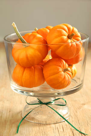 Pumpkins in a vaseの写真素材