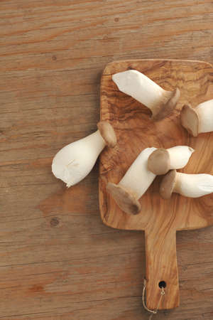 Wild mushroom の写真素材