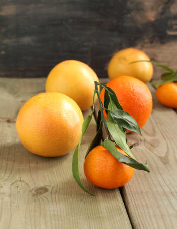 Citrus fruits の写真素材
