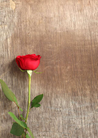 Single red rose on wooden background の写真素材