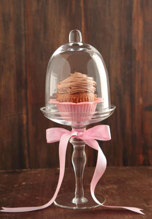 Chocolate cupcakeの写真素材