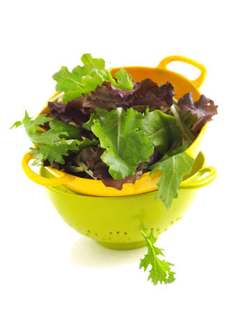 Organic spring mix green leaves for salad の写真素材