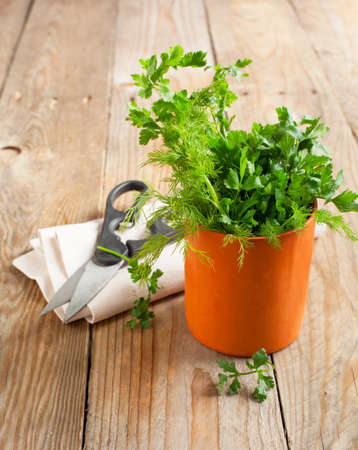 Fres parsley and dill in cupの写真素材