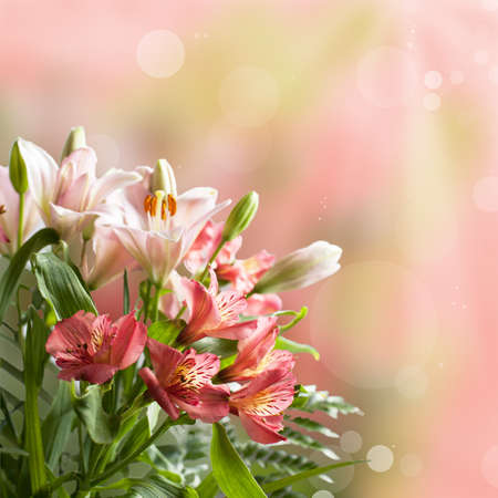 Bouquet of beautiful pink flowers with bokeh and copy spaceの写真素材