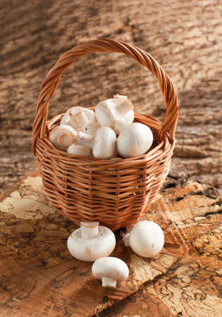 Fresh mushrooms in basketの写真素材