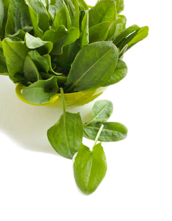 Fresh sorell isolated on white background