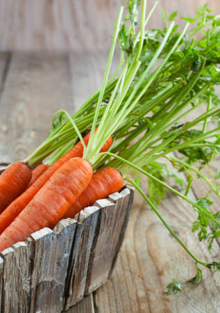 Fresh carrotの写真素材