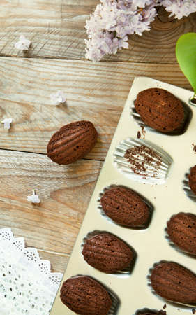 Chocolate madeleineの写真素材