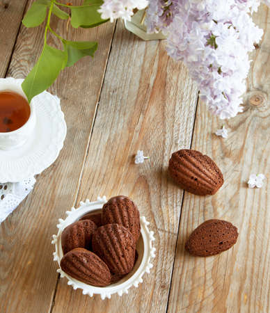 Chocolate madeleine