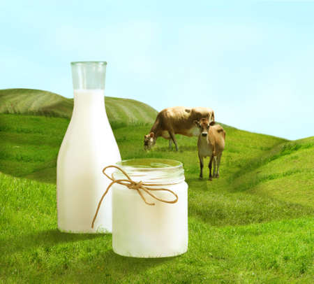 Bottle of milk and cows on  green fieldの写真素材