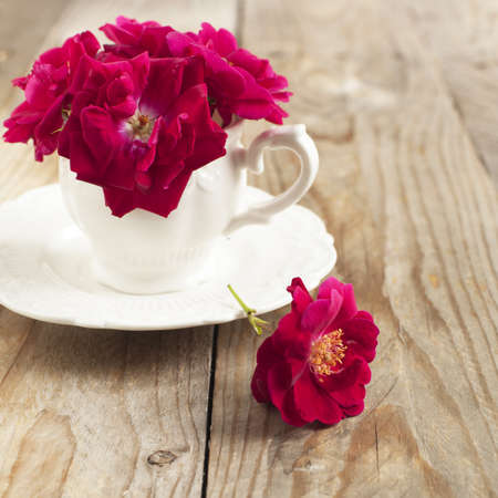 Dog rose flowers in cupの写真素材