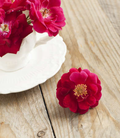 Dog rose flowers in cupの写真素材