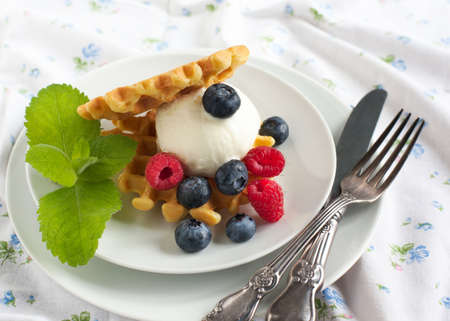 Waffle decorated with ice cream scoop and berriesの写真素材
