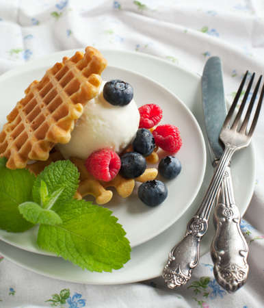 Waffle decorated with ice cream scoop and berriesの写真素材