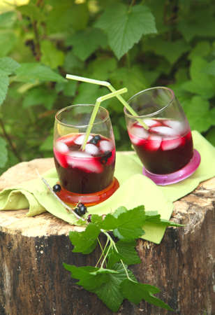 The berry spritzer cocktailの写真素材
