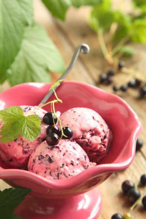 Black current ice creamの写真素材