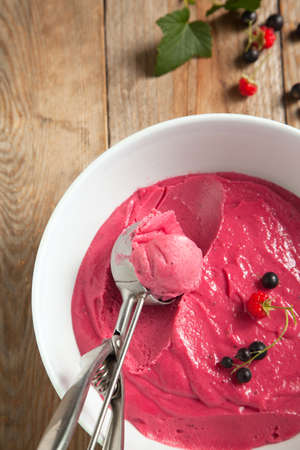 Berry fruit ice creamの写真素材