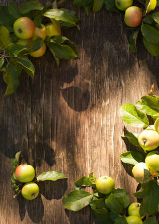 Fresh organic apples with leaves on wooden background