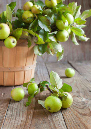 Organic Apples with leaves in the Basket の写真素材