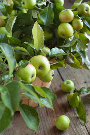 Organic Apples with leaves in the Basket の写真素材