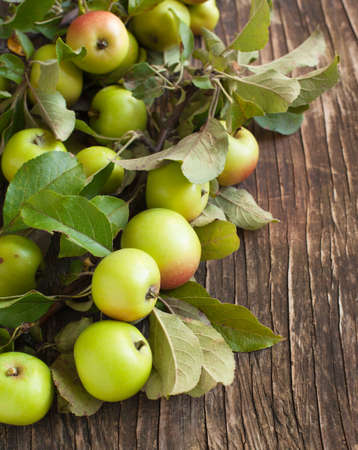 Organic Apples with leavesの写真素材