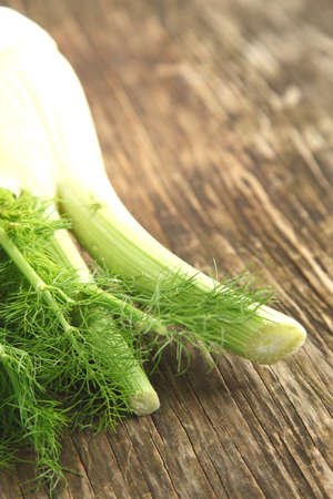 Fresh fennel on wooden backgroundの写真素材