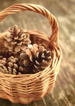Pine cones in basketの写真素材