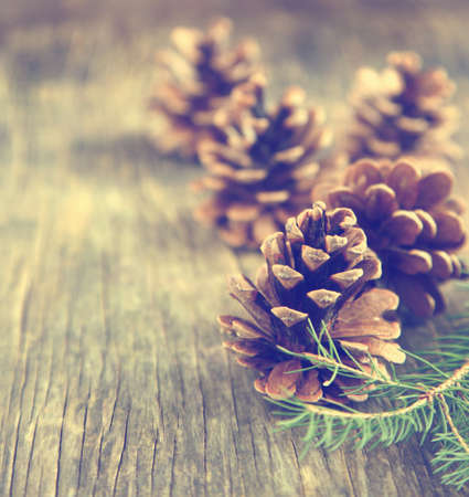 Pine cones on wooden backgroundの写真素材