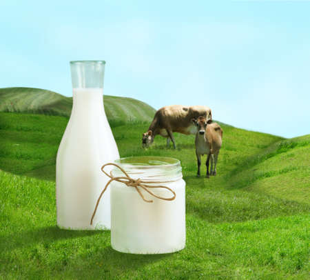 Bottle of milk and cows on  green field の写真素材