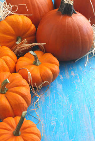 Pumpkins  Selective focusの写真素材