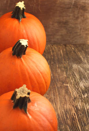 Pumpkinsの写真素材