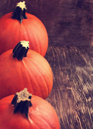 Pumpkinsの写真素材