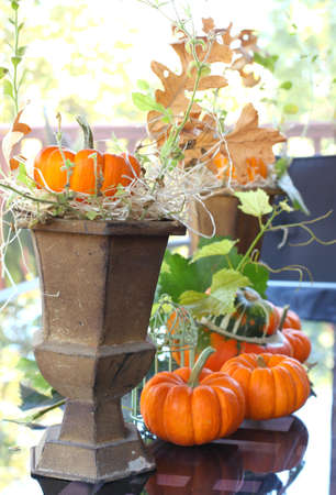 Table decoration with pumpkinsの写真素材
