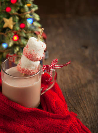 Hot chocolate with peppermint candies coated marshmallowsの写真素材