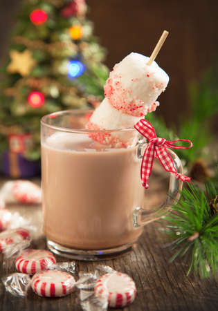 Hot chocolate with peppermint candies coated marshmallowsの写真素材